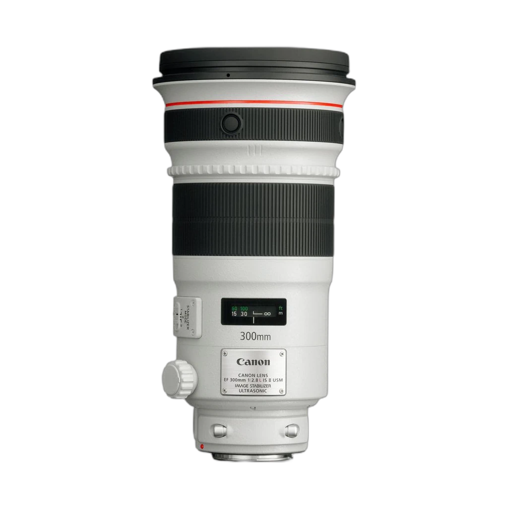 Canon EF 300mm f/4L IS USM 2