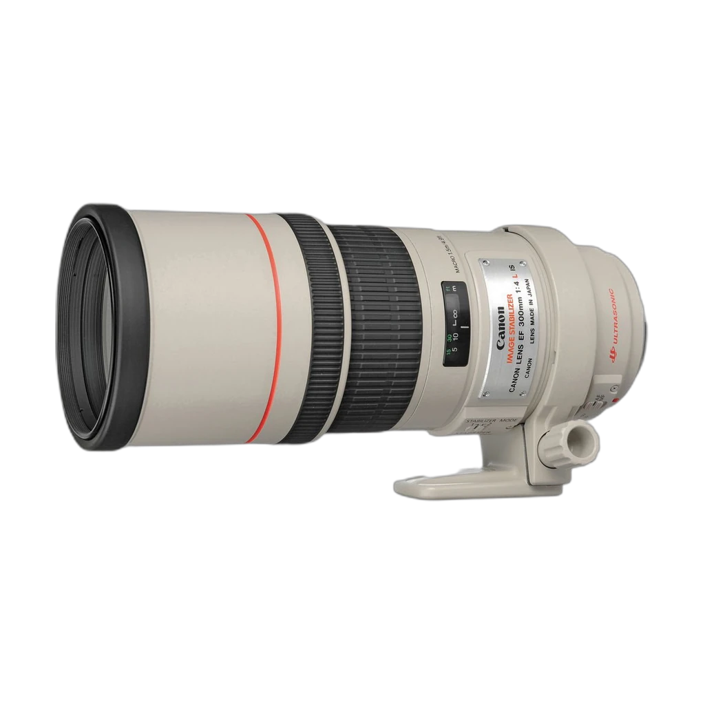 Canon EF 300mm f/4L IS USM 3