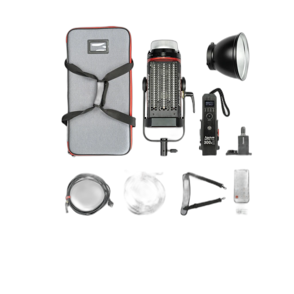 Aputure Light Storm C300D Mark II LED Light Kit 2