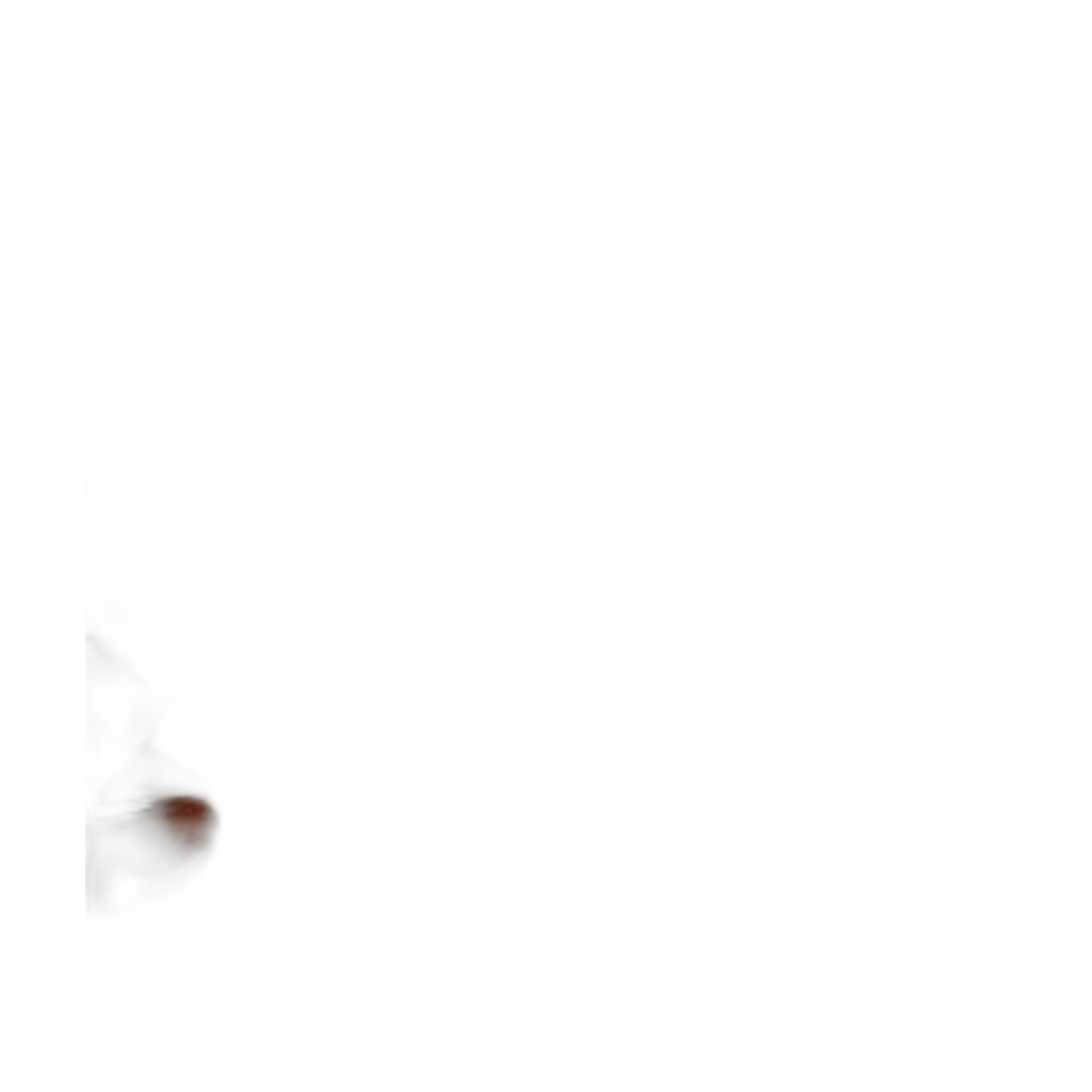 White Paper Background, 1.37M Wide, Without Stand 2