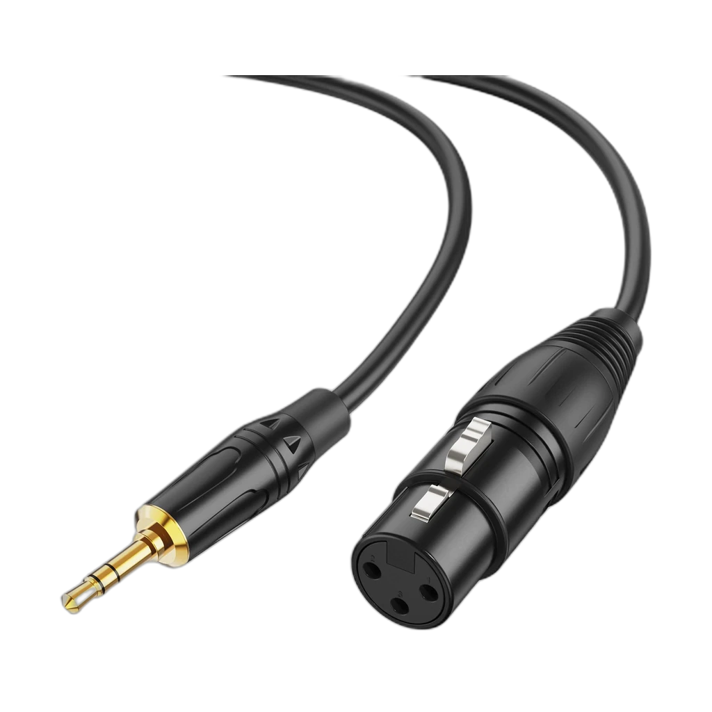 Generic XLR to Aux Microphone Cable