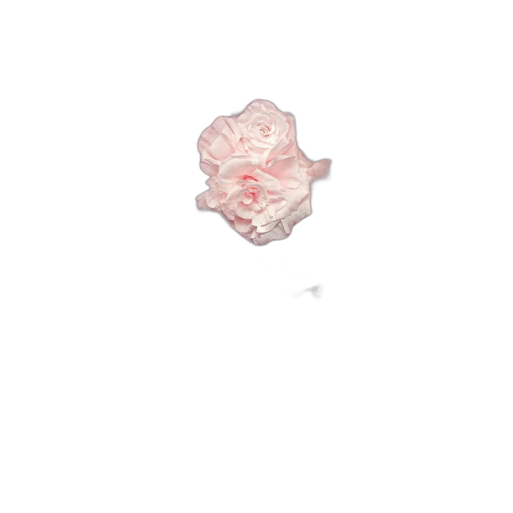 Rose Paper Background, 2.72 Wide, Without Stand 3