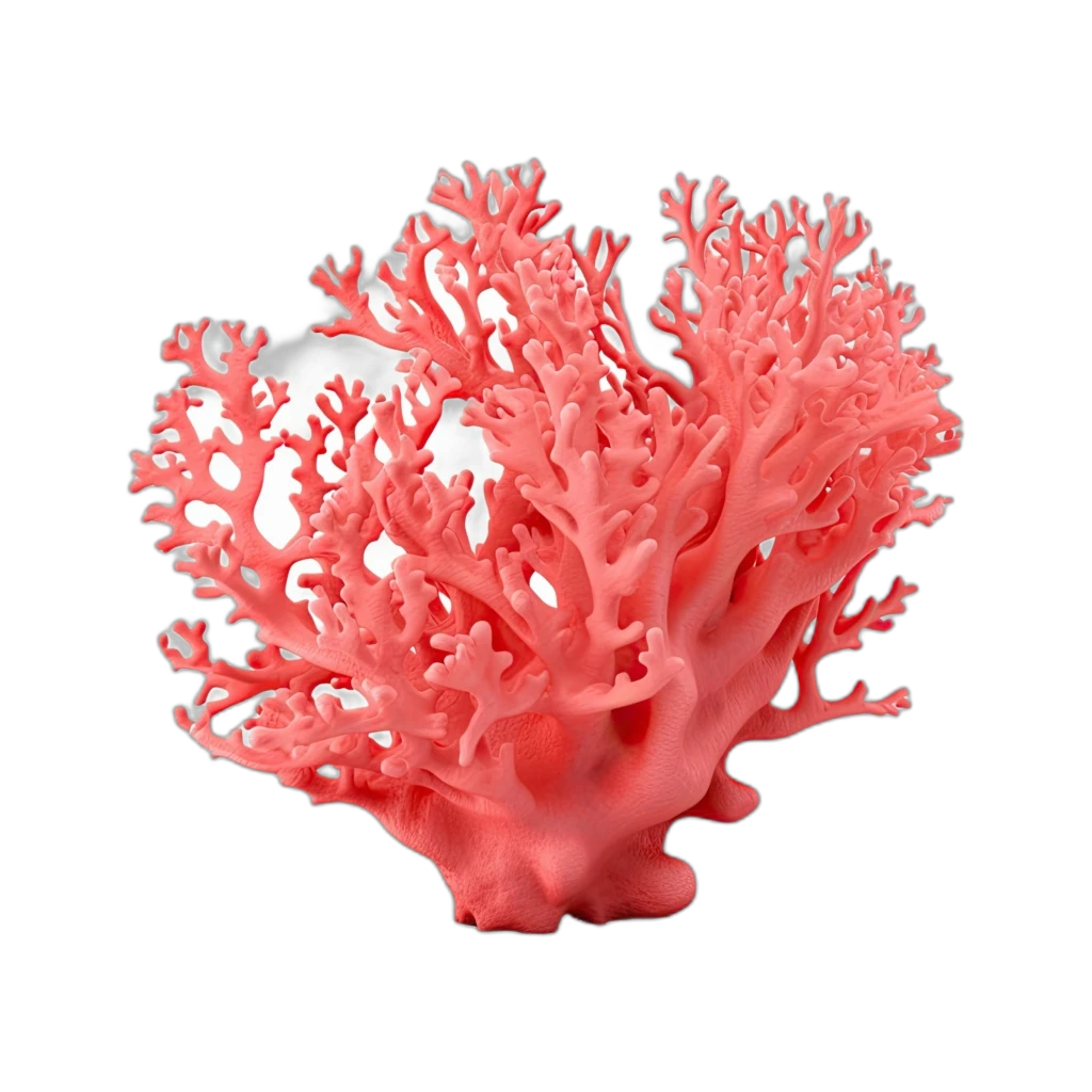 Background Coral 2.75 Without Stand 2