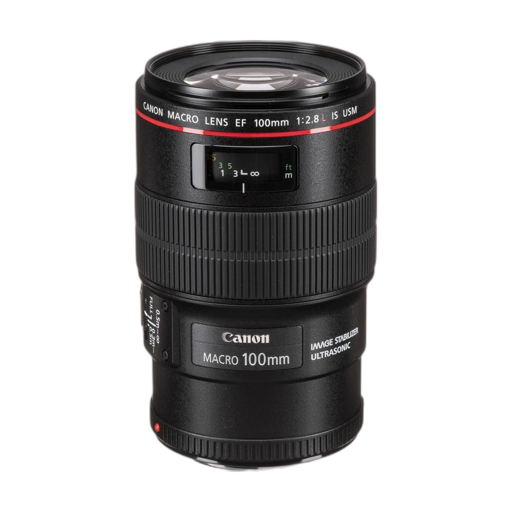 Canon EF 100mm f/2.8L Macro IS 2